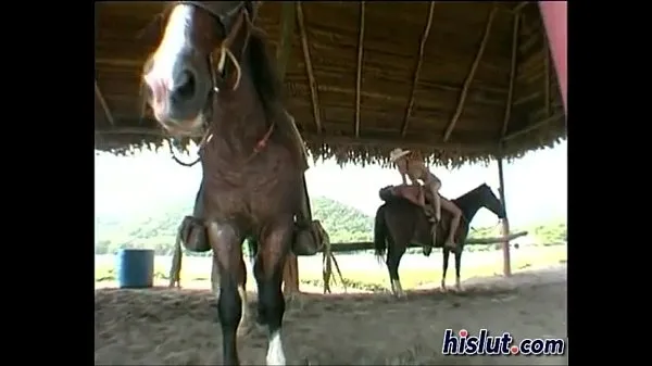 Tabung total Fucking on Horse besar